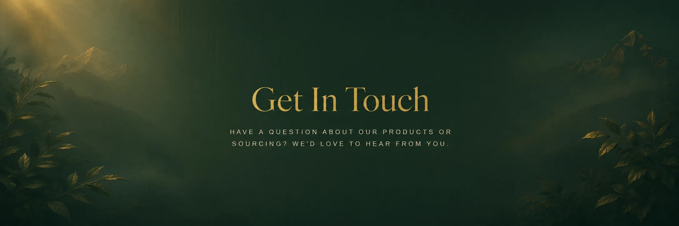 Get In Touch